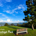 50 North Rd, LOWER BEECHMONT, QLD 4211