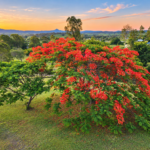 171-181 Worip Dr, VERESDALE SCRUB, QLD 4285