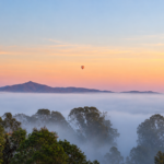 171-181 Worip Dr, VERESDALE SCRUB, QLD 4285
