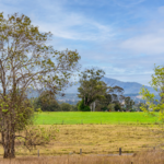 104 Mount Lindesay Highway, GLENEAGLE, QLD 4285